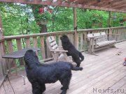 Превью фото № 210979