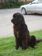 Превью фото № 211007