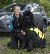 Превью фото № 211057