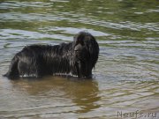 Превью фото № 211076