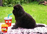 Превью фото № 211078