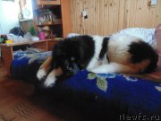 Превью фото № 211081