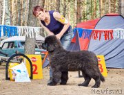 Превью фото № 211082