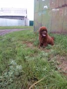 Превью фото № 211095