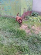 Превью фото № 211097