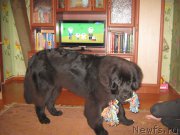 Превью фото № 211121