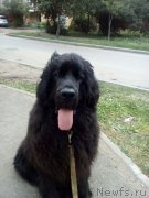 Превью фото № 211122