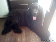 Превью фото № 211123