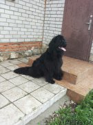 Превью фото № 211134