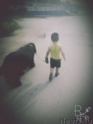 Превью фото № 211137