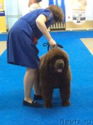 Превью фото № 211140