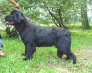 Превью фото № 211179