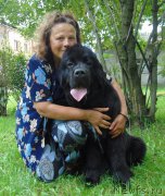 Превью фото № 211180