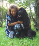 Превью фото № 211181