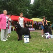 Превью фото № 211191