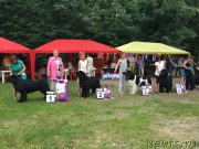 Превью фото № 211192