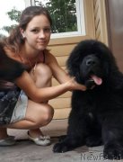 Превью фото № 211241