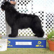 Превью фото № 211286