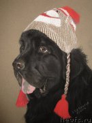 Превью фото № 211288