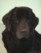 Превью фото № 211289