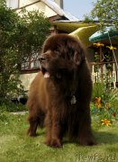 Превью фото № 211432