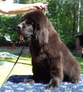 Превью фото № 211436