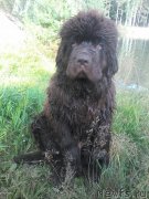 Превью фото № 211443