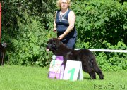 Превью фото № 211487