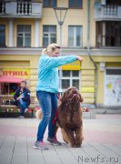 Превью фото № 211539