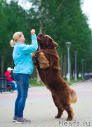 Превью фото № 211544