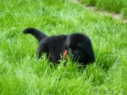 Превью фото № 211590