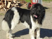 Превью фото № 211671