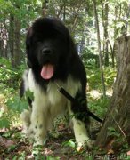 Превью фото № 211674