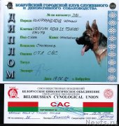 Превью фото № 211695