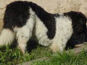 Превью фото № 211697