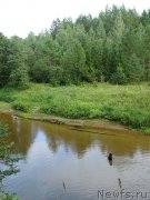 Превью фото № 211732