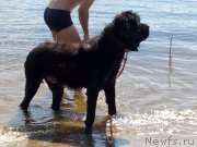 Превью фото № 211735