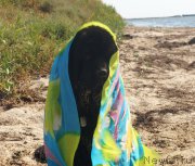 Превью фото № 211758