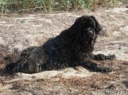 Превью фото № 211761