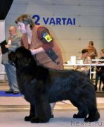 Превью фото № 211831