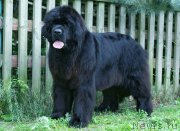 Превью фото № 211833