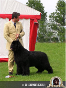 Превью фото № 211841