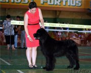 Превью фото № 211880