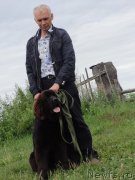 Превью фото № 211959