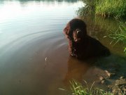 Превью фото № 211960