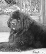 Превью фото № 211968