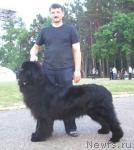 Превью фото № 21200