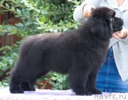 Превью фото № 212017