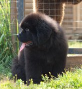 Превью фото № 212025