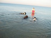 Превью фото № 212080